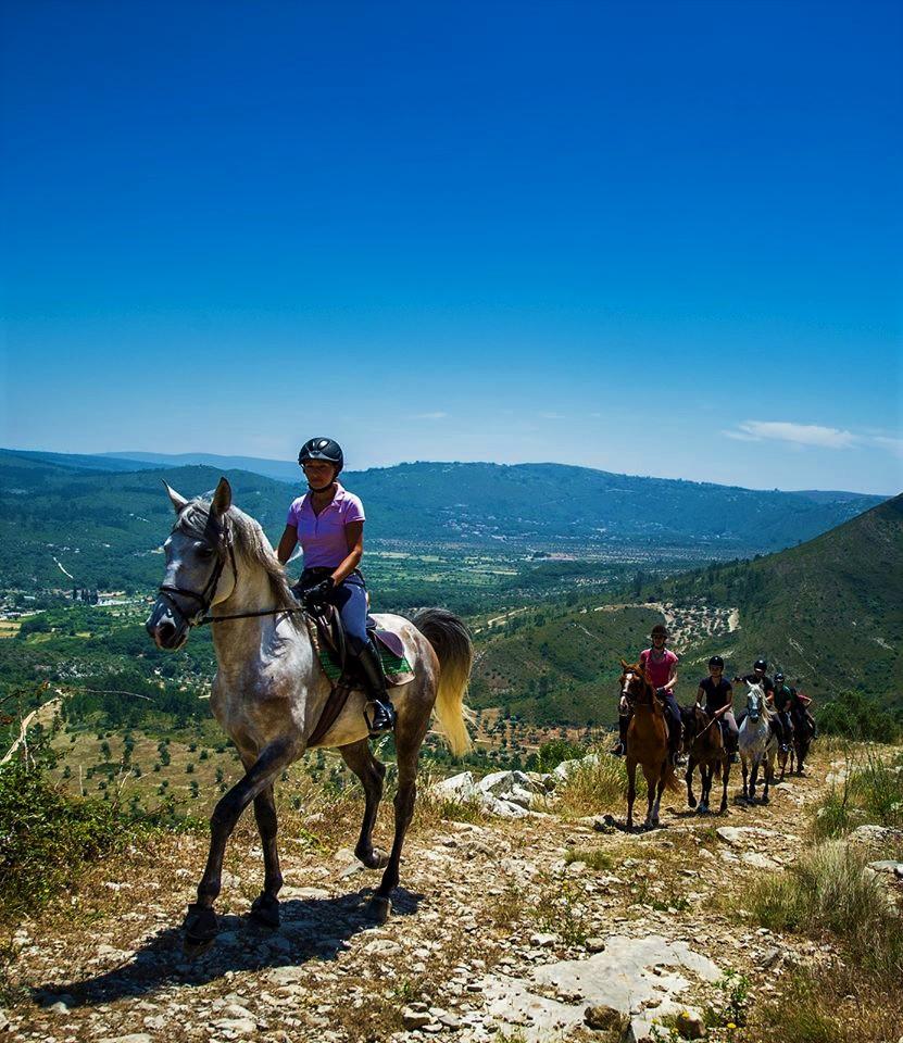 Casa Ceedina Bed And Breakfast & Beauty Batalha Εξωτερικό φωτογραφία