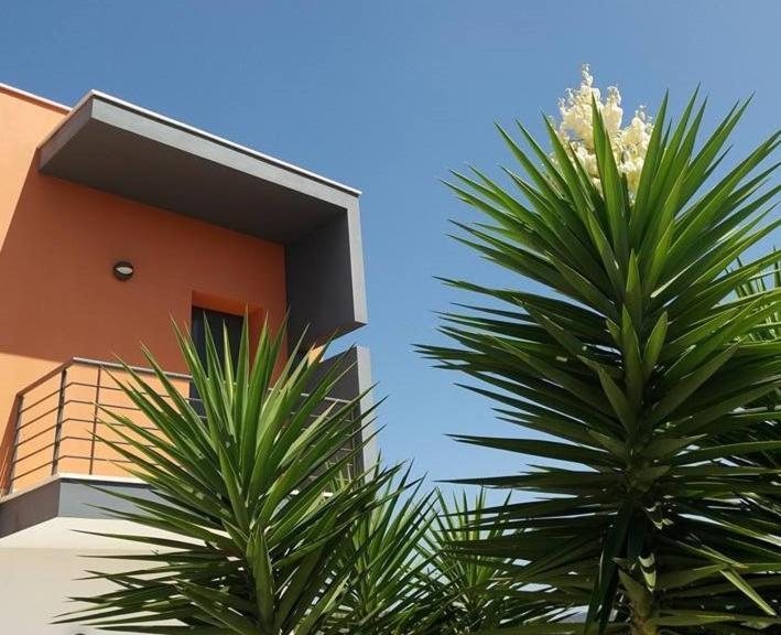Casa Ceedina Bed And Breakfast & Beauty Batalha Εξωτερικό φωτογραφία