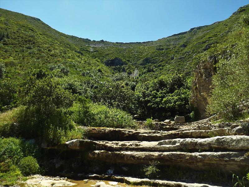 Casa Ceedina Bed And Breakfast & Beauty Batalha Εξωτερικό φωτογραφία